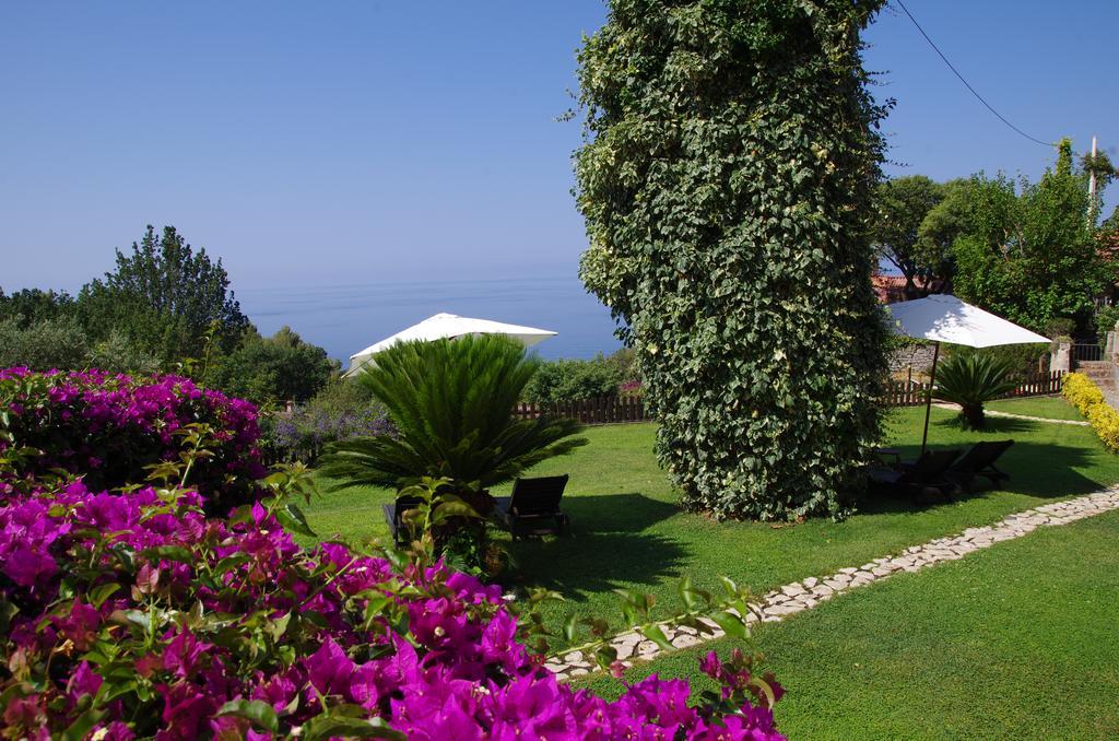 Bed And Breakfast Nefer Маратея Экстерьер фото